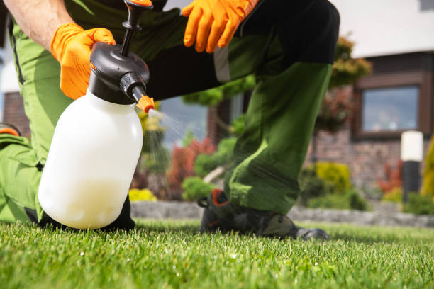 Wasp Removal Services in Damascus, MD