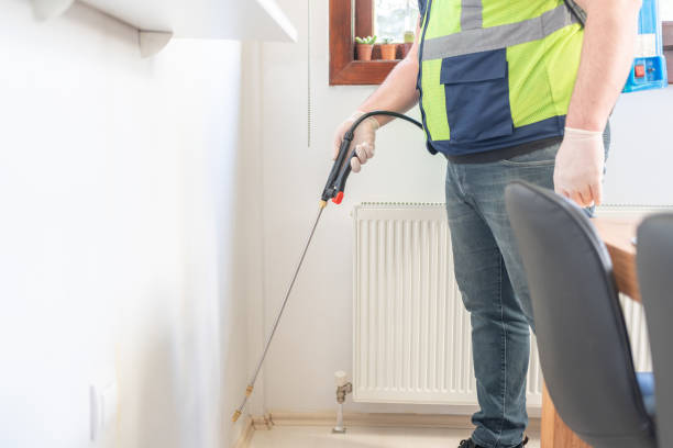Best Wasp Removal Services  in Damascus, MD