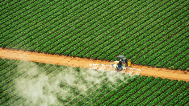 Best Pest Removal Services  in Damascus, MD