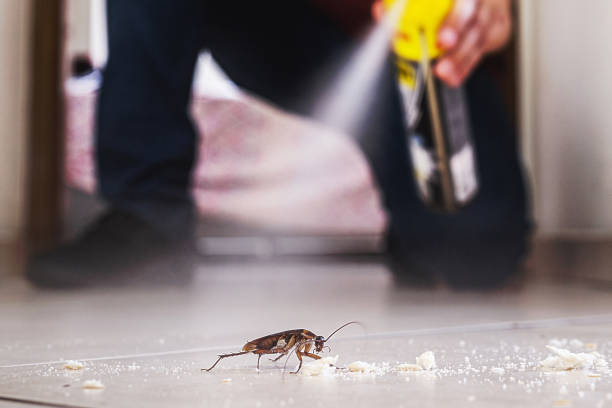 Best Pest Prevention Services  in Damascus, MD