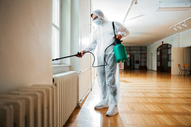 Best Termite Control Services  in Damascus, MD