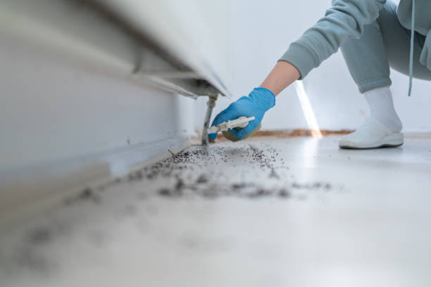 Best Cockroach Control Services  in Damascus, MD